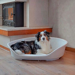 Corbeille pour chien