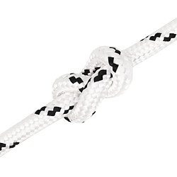 Acheter vidaXL Corde de bateau tressé 12 mm 25 m - Blanc