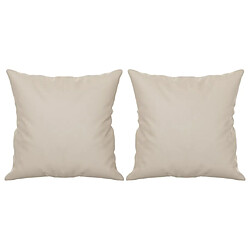 Coussin d'intérieur
