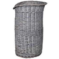 Acheter vidaXL Arbre à chat 2 niveaux - Saule