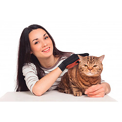 Ventéo Gant Brossage Animaux