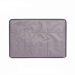 Tapis interactif pour chien - 55 x 80 cm