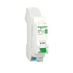 Schneider Electric Resi9 XE 20A