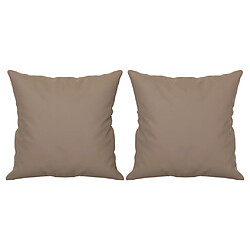 Coussin d'intérieur