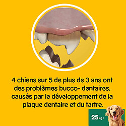 Pedigree Dentastix - Grand Chien pas cher