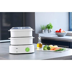 Braun FS 3000 - Blanc