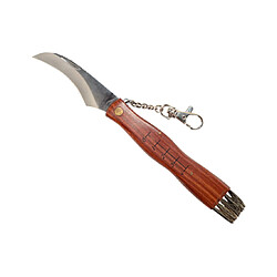 Ustensile électrique Générique