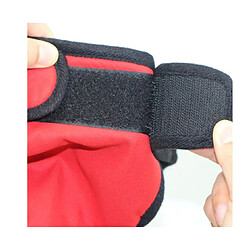 Acheter Culotte menstruelle pour chienne - XL - Jaune