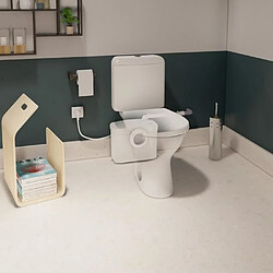 Avis Toilette Sanibroyeur SFA