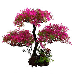 Aquarium Bonsaï Plante Arbre