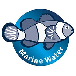 Avis Lot de coquillages Hobby