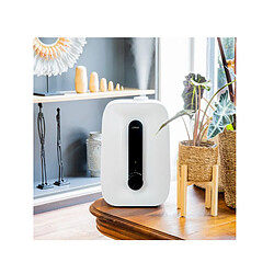 Humidificateur