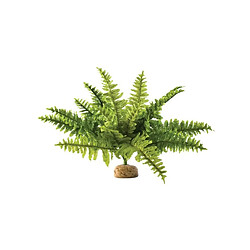 Exo Terra Exo-Terra Fougere de Boston - GM
