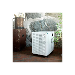Avis Woods Wood's SW22FW Déshumidificateur