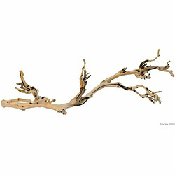 Exo Terra EXOTERRA Pied de vigne sablé