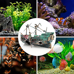 Bateau Pirate Aquarium