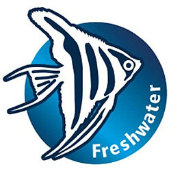 Acheter Lot de coquillages Hobby