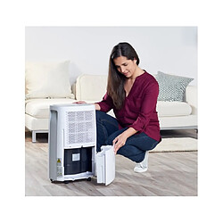 Acheter Déshumidificateur 22l/j 45m² - DH2201 - Pleasant Unique - TAURUS