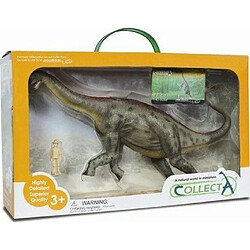 Collecta Jobaria