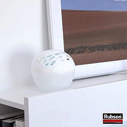 2 x recharges pour absorbeur d?humidité 3en1 fruits - 2091846 - Sensation - RUBSON pas cher