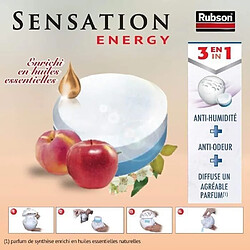 Acheter 2 x recharges pour absorbeur d?humidité 3en1 fruits - 2091846 - Sensation - RUBSON