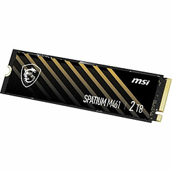 Acheter Msi Spatium M461 2To M.2