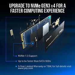 Acheter Disque SSD Interne - PNY - CS1030 M.2 GEN3 - 250 Go - NVMe (M280CS1030-250-RB)