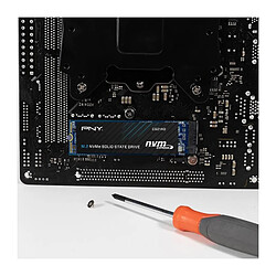 PNY CS2140