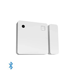 Shelly Door Window W