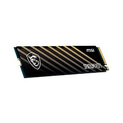 MSI SPATIUM M371 SSD