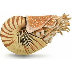 Collecta Nautilus Pompilius