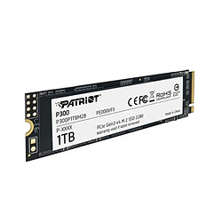 Patriot Memory P300 - 1 TB pas cher