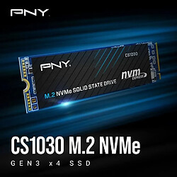 Disque SSD Interne - PNY - CS1030 M.2 GEN3 - 250 Go - NVMe (M280CS1030-250-RB) pas cher
