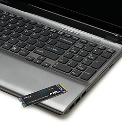 PNY CS1030 SSD 250 Go