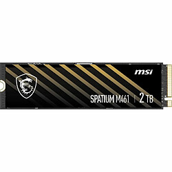 Msi Spatium M461 2To M.2 pas cher