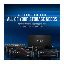Pny CS1030 500Go M.2 · Reconditionné pas cher