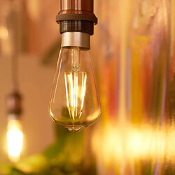 Shelly SHELLYVINTAGEST64