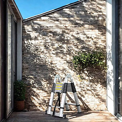 Secury-T Securité Échelle/escabeau télescopique 2x8 marches