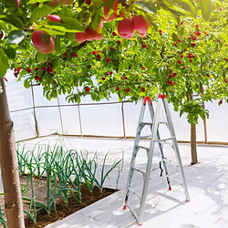 Secury-T Securit Escabeau télescopique 2x4 marches