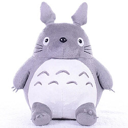 Oreiller peluche Totoro