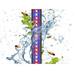 Bandes LED Marshall CIANO CLN5 8 W