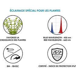 Acheter Bandes LED Marshall CIANO CLN5 8 W