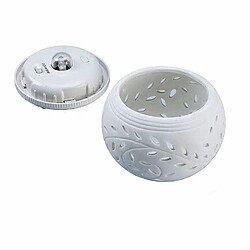 Boule Solaire Extérieure Led