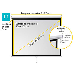 Ivolum écran manuel 200 x 200 cm
