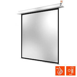 Celexon PRO Plus - 180 x 180 cm pas cher