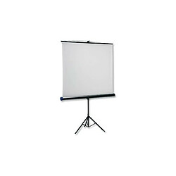 Ecran de projection Kensington