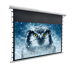Acheter Celexon Deluxx Cinema Tension 135''
