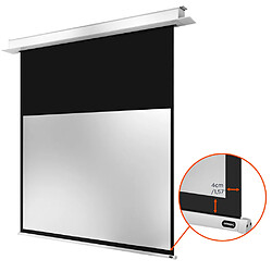 Acheter Celexon Pro Plus - 240 x 150 cm