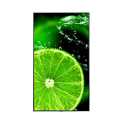 Nec MultiSync E988 - Noir