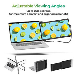 Mobile Pixels Duex Max DS